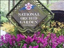 National Orchid Garden